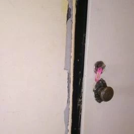 Senator Panzió Nyíregyháza - Egyéb