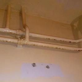 Senator Panzió Nyíregyháza - Egyéb