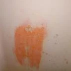 Senator Panzió Nyíregyháza - Egyéb