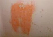 Senator Panzió Nyíregyháza