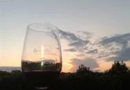 Diófa Panzió Villány