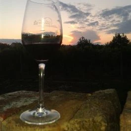 Diófa Panzió, Villány - Környék