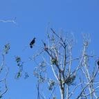 Hotel Arborétum Harkány - Környék
