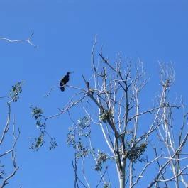 Hotel Arborétum, Harkány - Környék
