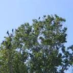 Hotel Arborétum Harkány - Környék