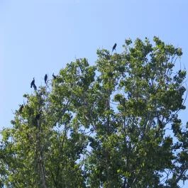 Hotel Arborétum, Harkány - Környék