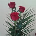 Aqua Villa Eger Eger - Egyéb