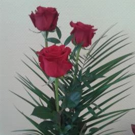 Aqua Villa Eger Eger - Egyéb