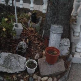 Kastély Villa, Miskolc - Környék