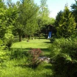 Akácliget Vendégház, Lajosmizse - Medence/kert