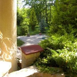 Akácliget Vendégház, Lajosmizse - Medence/kert