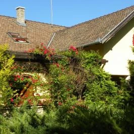 Akácliget Vendégház, Lajosmizse - Külső kép