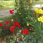 Angela Farm Naturista Camping & Bungalow Nemesbük - Egyéb