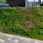 Bodri Pincészet Vendégszobái Szekszárd - Külső kép