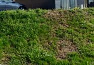 Bodri Pincészet Vendégszobái Szekszárd