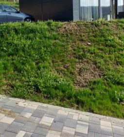 Bodri Pincészet Vendégszobái