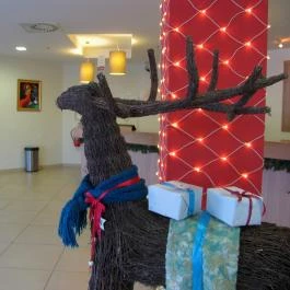 Hunguest Hotel Gyula, Gyula - Belső