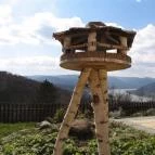 Silvanus Wellness & Konferencia Hotel Visegrád - Medence/kert