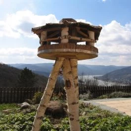 Silvanus Wellness & Konferencia Hotel, Visegrád - Medence/kert