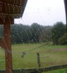 Kerca Bio Farm Rusztikus Vendégházak