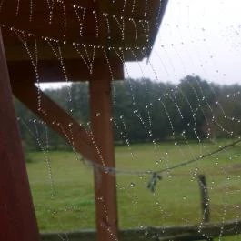 Kerca Bio Farm Rusztikus Vendégházak Kercaszomor - Medence/kert