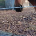 Kerca Bio Farm Rusztikus Vendégházak Kercaszomor - Egyéb