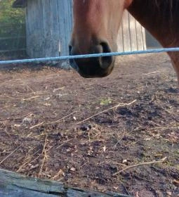 Kerca Bio Farm Rusztikus Vendégházak