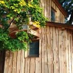 Kerca Bio Farm Rusztikus Vendégházak Kercaszomor - Medence/kert