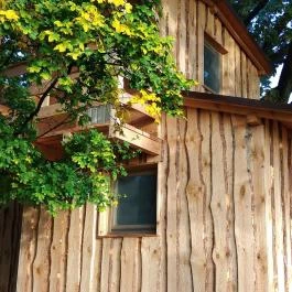 Kerca Bio Farm Rusztikus Vendégházak Kercaszomor - Medence/kert