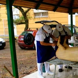 Alföld Gyöngye Hotel, Orosháza - Egyéb