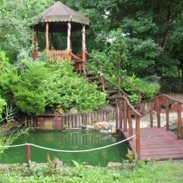 Laci Betyár Fogadó, Hajdúszoboszló - Medence/kert