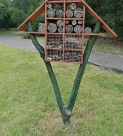 Széchenyi-hegyi Gyermekvasút