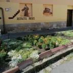 Váci Erzsébet sétány Vác - Külső kép