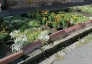 Váci Erzsébet sétány Vác