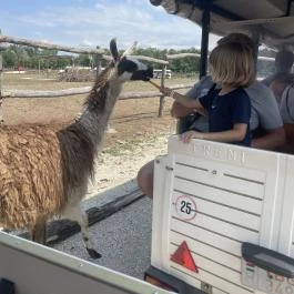 Richter Safari Park Nagykőrös - Egyéb