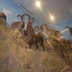 Helikon Kastélymúzeum Keszthely - Belső