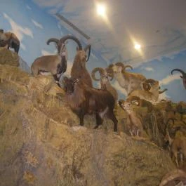 Helikon Kastélymúzeum, Keszthely - Belső