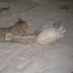 Helikon Kastélymúzeum Keszthely - Belső