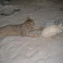 Helikon Kastélymúzeum, Keszthely - Belső