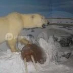 Helikon Kastélymúzeum Keszthely - Egyéb