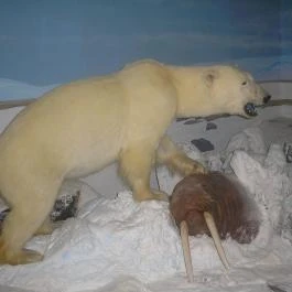 Helikon Kastélymúzeum, Keszthely - Egyéb