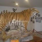 Helikon Kastélymúzeum Keszthely - Egyéb