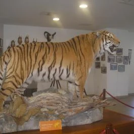 Helikon Kastélymúzeum, Keszthely - Egyéb