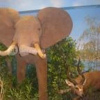 Helikon Kastélymúzeum Keszthely - Egyéb