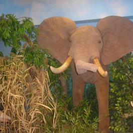 Helikon Kastélymúzeum, Keszthely - Egyéb