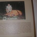 Helikon Kastélymúzeum Keszthely - Egyéb