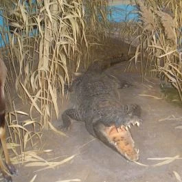 Helikon Kastélymúzeum, Keszthely - Belső