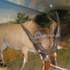 Helikon Kastélymúzeum Keszthely - Belső