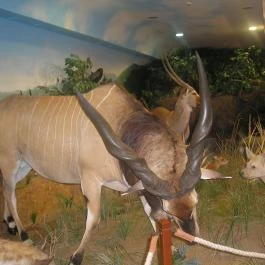 Helikon Kastélymúzeum, Keszthely - Belső