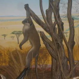 Helikon Kastélymúzeum, Keszthely - Belső